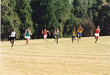 Track - St. Johns Relay