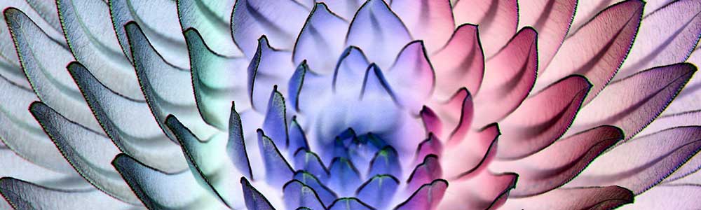 Creative & Abstract Banner