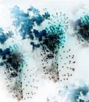 Explosions