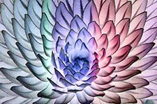 Resplendence