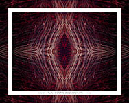 Symmetry II