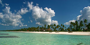 Beach in Zanzibar