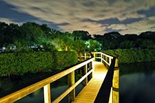 Floridian Night