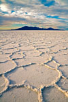 Salt Flats