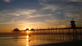 Sunset Surfer