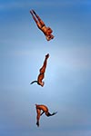 Cliff Diver
