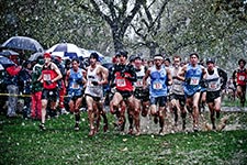 Cross Country Men