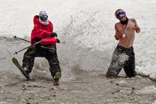 Pond Skimmers